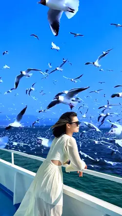 Seagulls fluttering