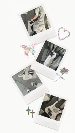 โพลาลอยด์