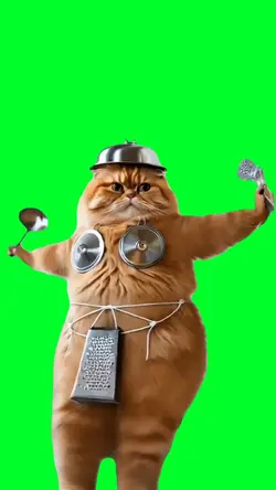 Cat in pots and pans