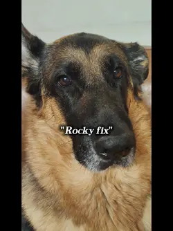 Grace say Grace will