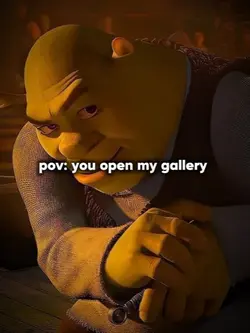 pov gallery