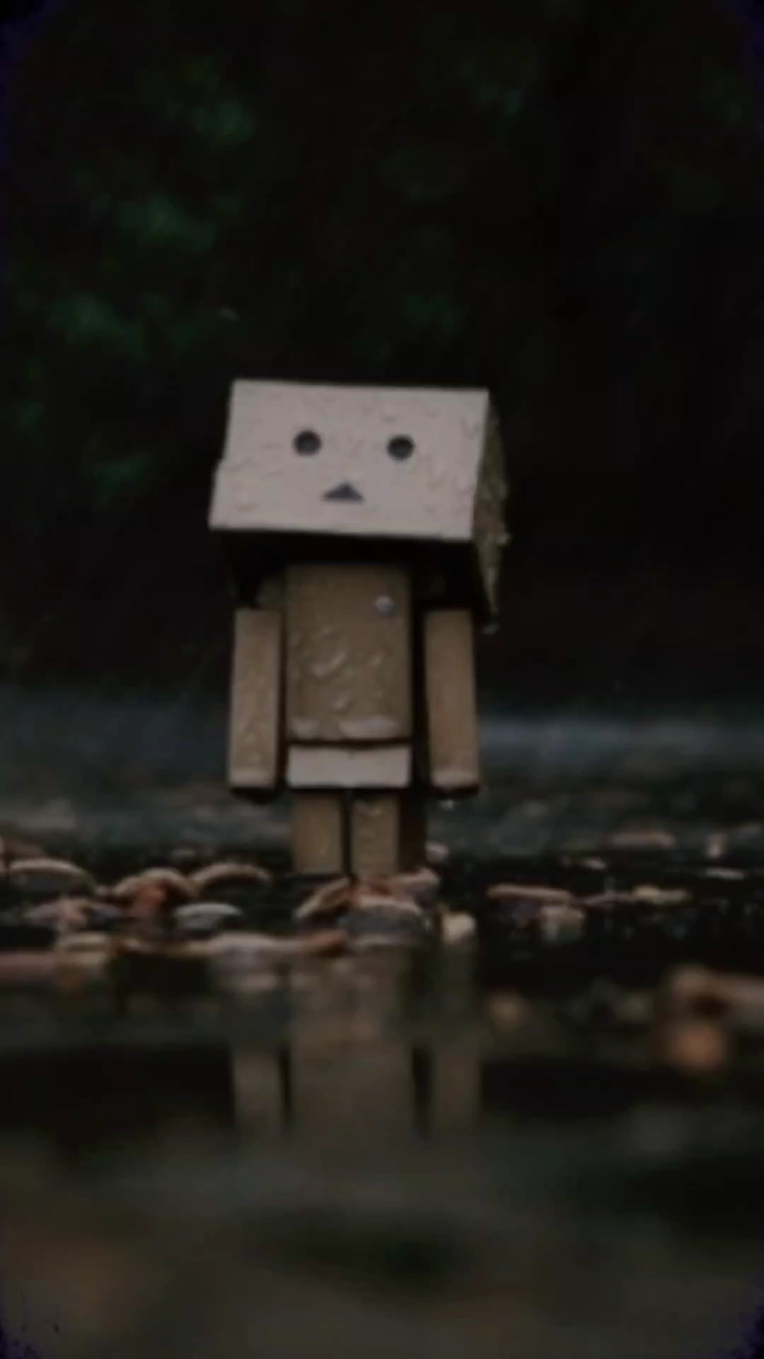 ពេលភ្លៀងធ្លាក់មាន