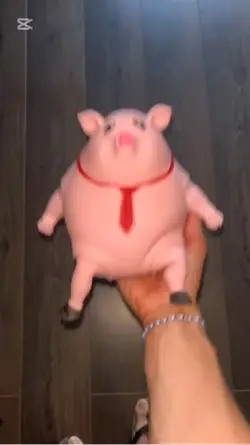 ぶたを