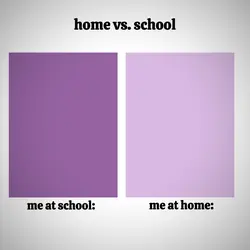 home vs school