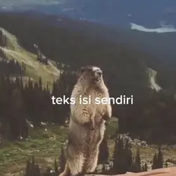 beruang teriak
