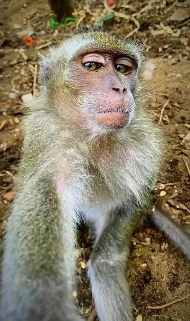 ហ៊ានតែ3នាក់វៃ10នាក់