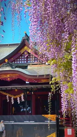 花咲く神社テンプレート⛩️