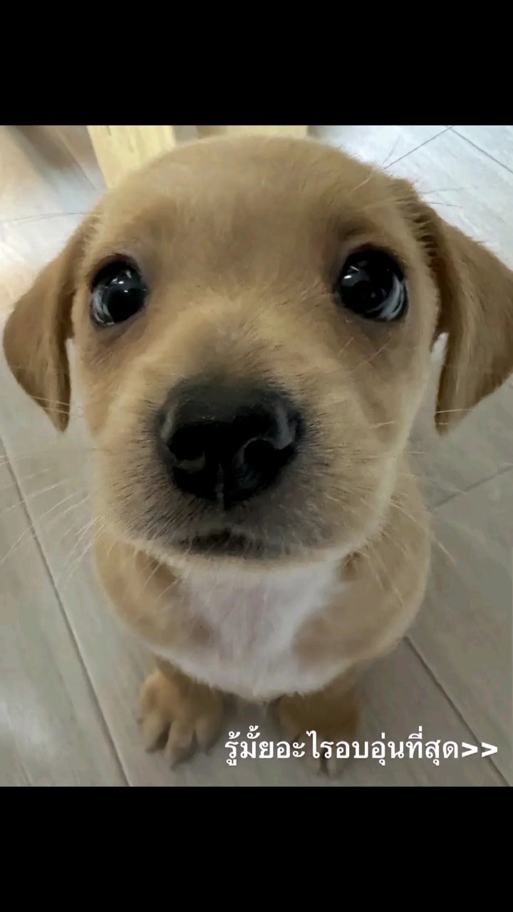 อบอุ่นสุดๆเลยละ