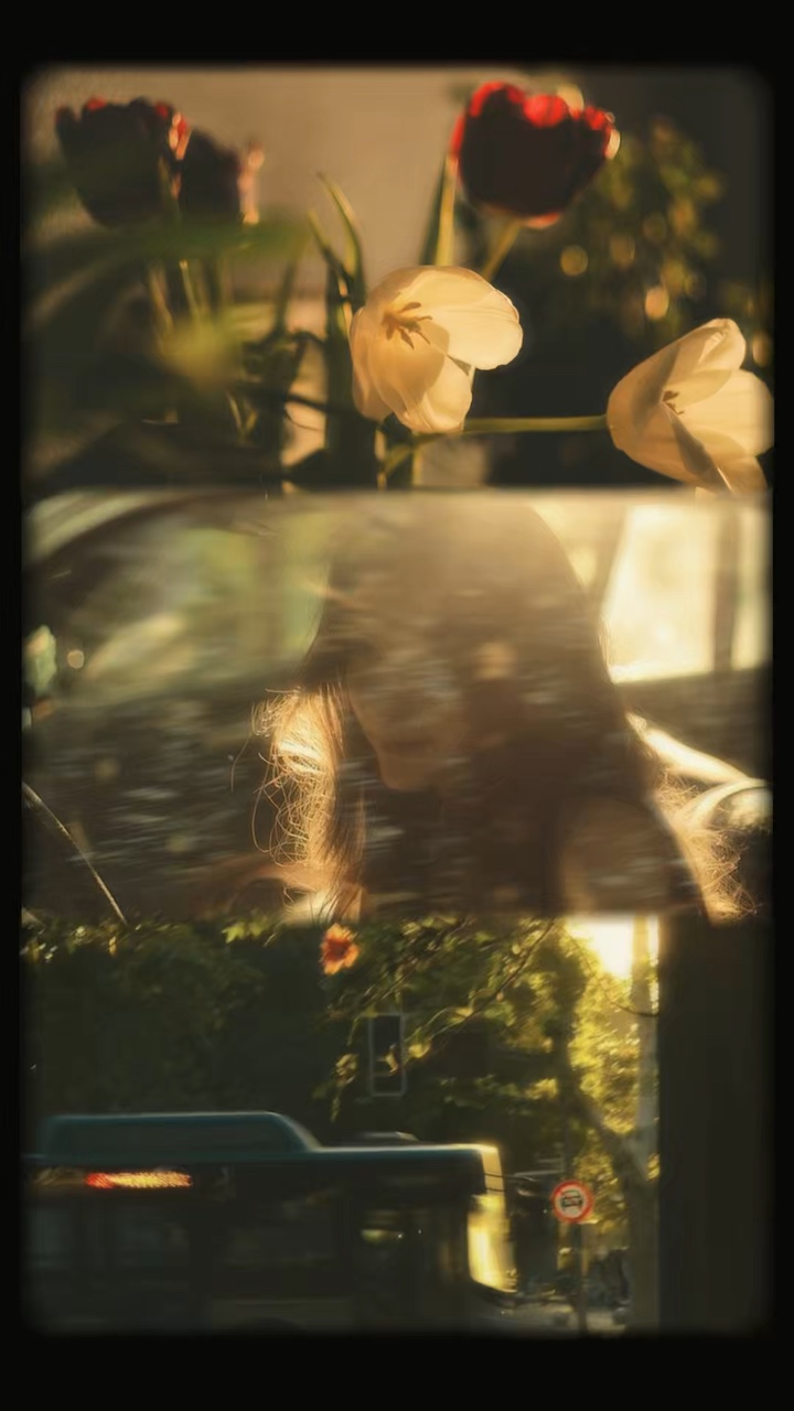 3 photos de collage