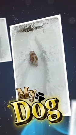 My Dog 1video