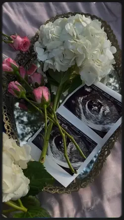 Pregnancy & Newborn