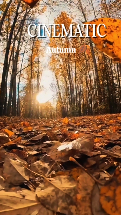 Automne cinématographique