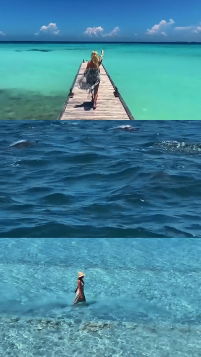 Loucura de verão