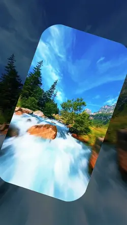 4 videos or pictures