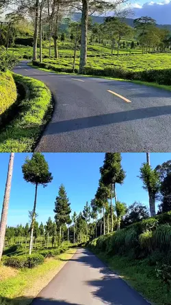 2 video kolase