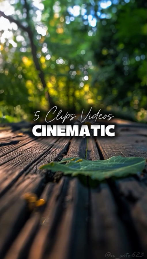 5 Videos Cinematic