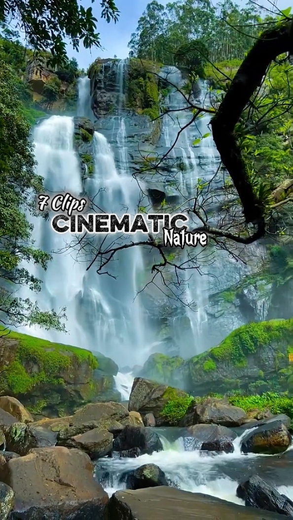 Cinématique 7 Clips 