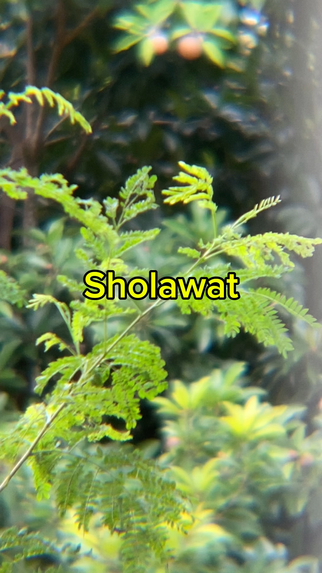 Sholawat
