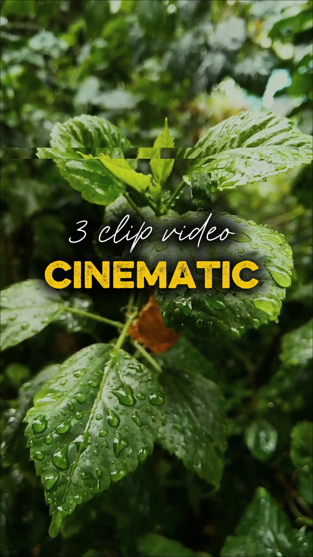 3 video cinematic 