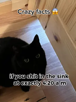 Crazy facts 😱😱😱