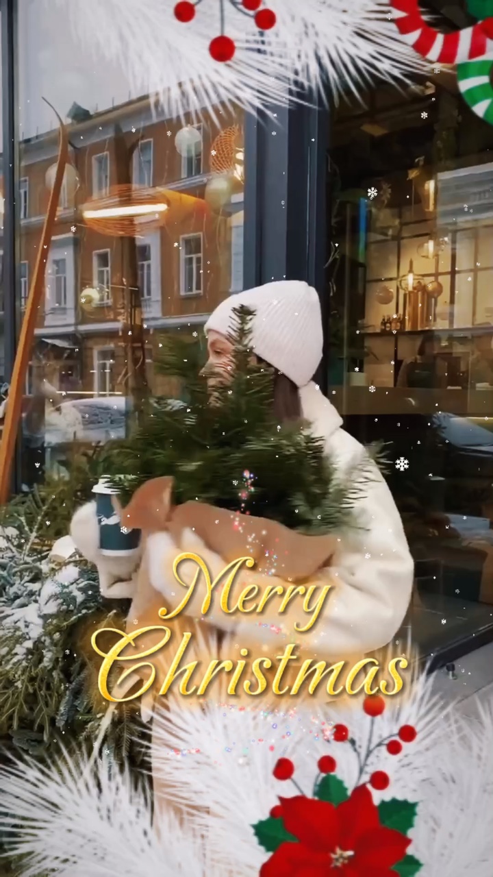 Bienvenido Navidad 