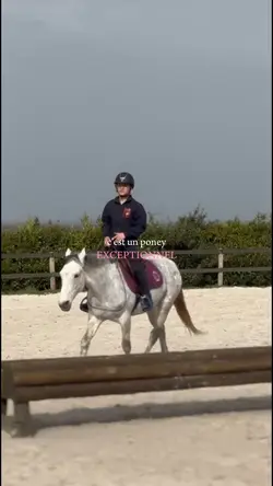 Poney exceptionnel 