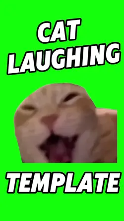 cat laughing