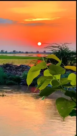 ลานเทสะเทือน