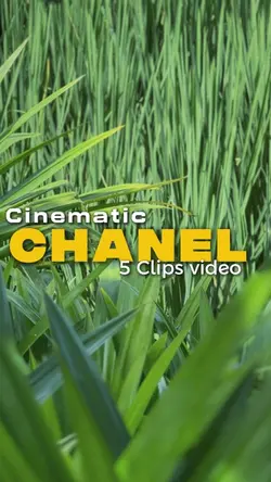 CHANEL 5CLIPS 