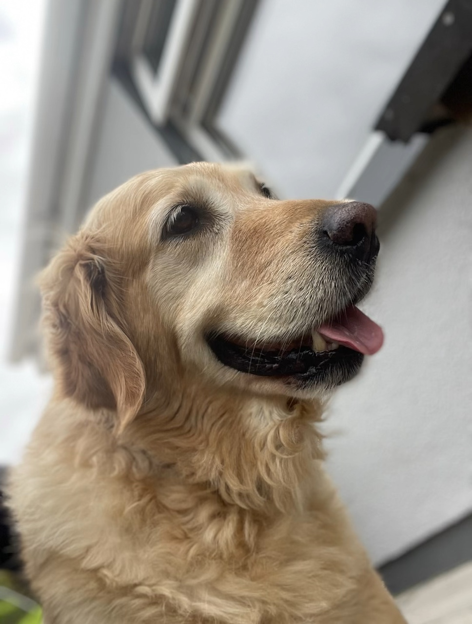 30th August 2023😞