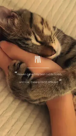 Pet In Heaven memory