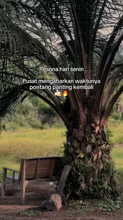 Pesona hari senin