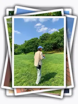 8Pic Clip Transition