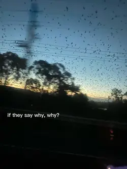 if they say why why