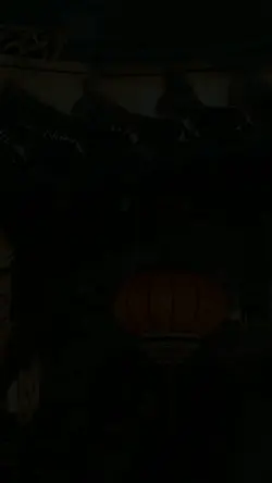 Nhạc trung 10 ảnh