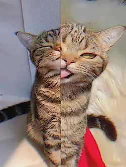 ganteng ganteng dewe