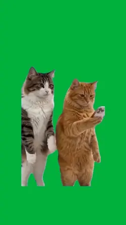 No!