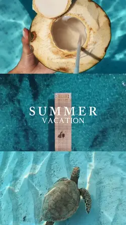 summer vacation