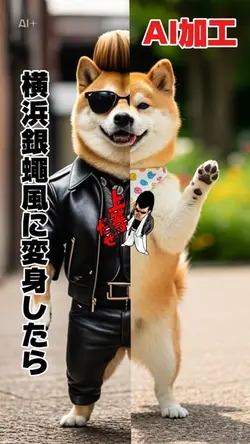 横浜銀蠅風