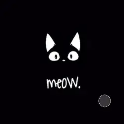 Meow is so cool