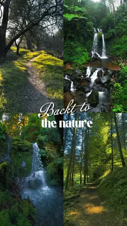 back to the nature 