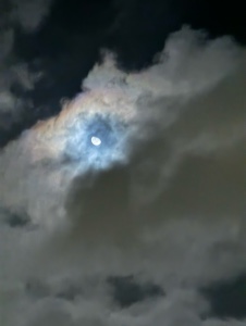كلام عينية-شرين