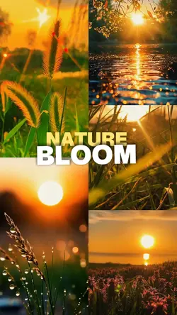 Nature bloom
