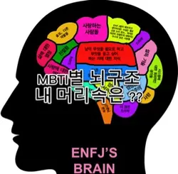 MBTI별 뇌구조