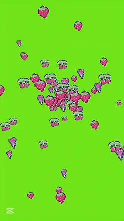 darmowy green screen