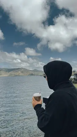 Pujangga cinta ariel