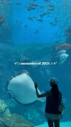 Memories of 2024