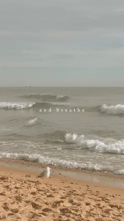 breathe calm vibes 
