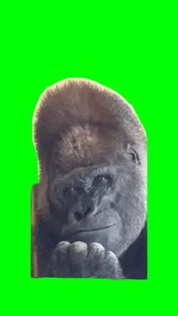 Sad gorilla meme 