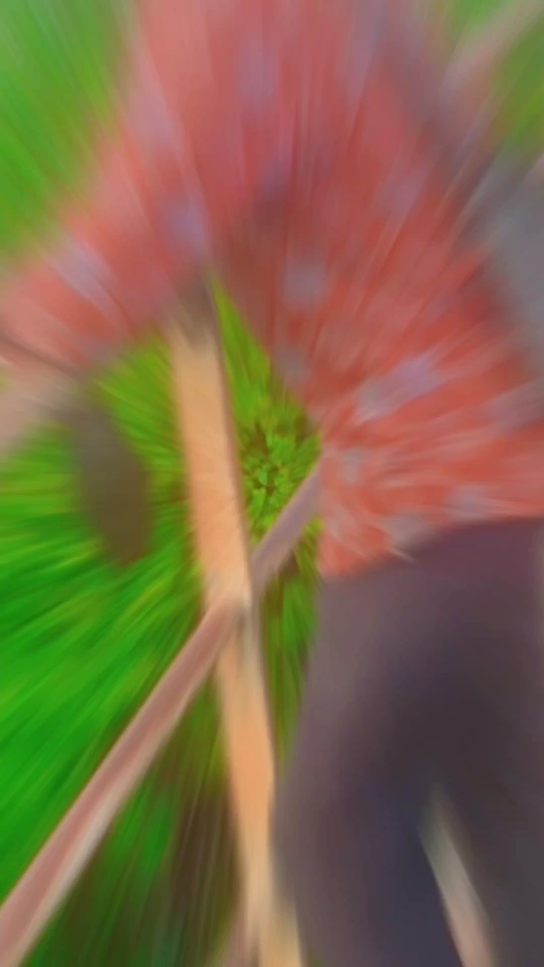 មកថ្មីសុំរាប់អាន់ផង